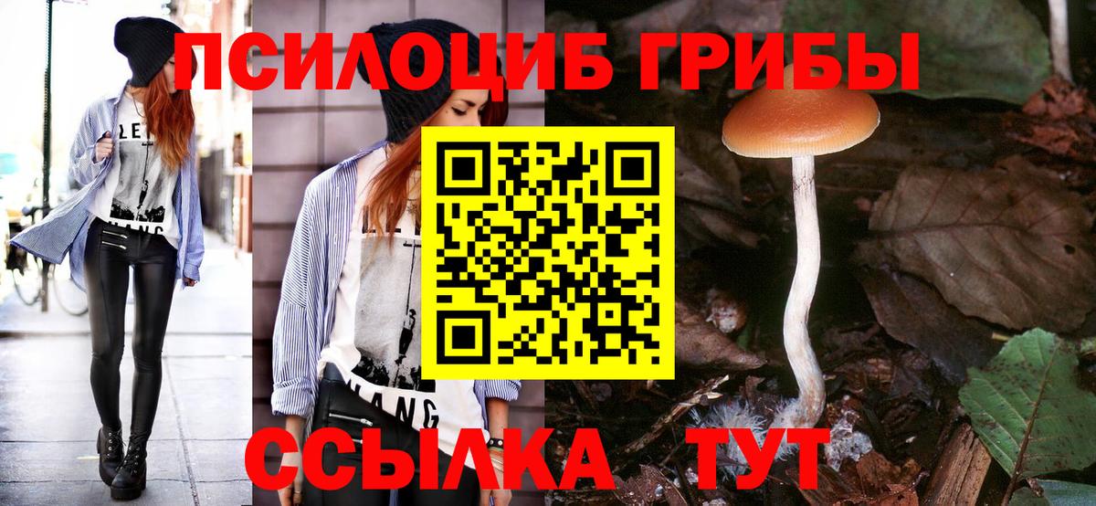 Галлюциногенные грибы ЛСД  Вход с VPN  Валуйки  Псилоцибиновые грибы Cubensis 