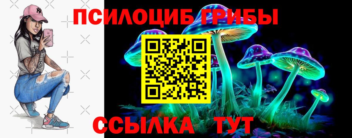 Псилоцибиновые грибы Psilocybine cubensis Валуйки